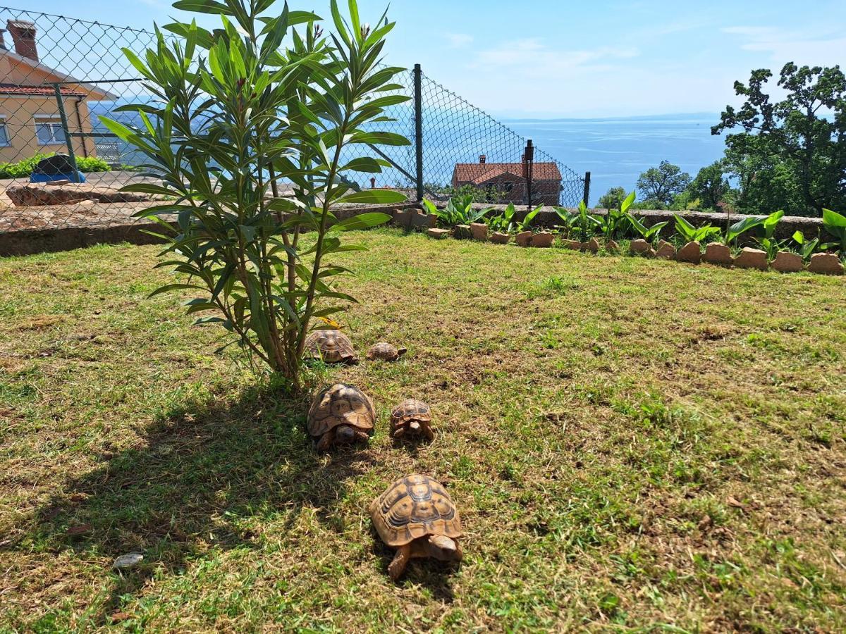 Marini Apartment Opatija